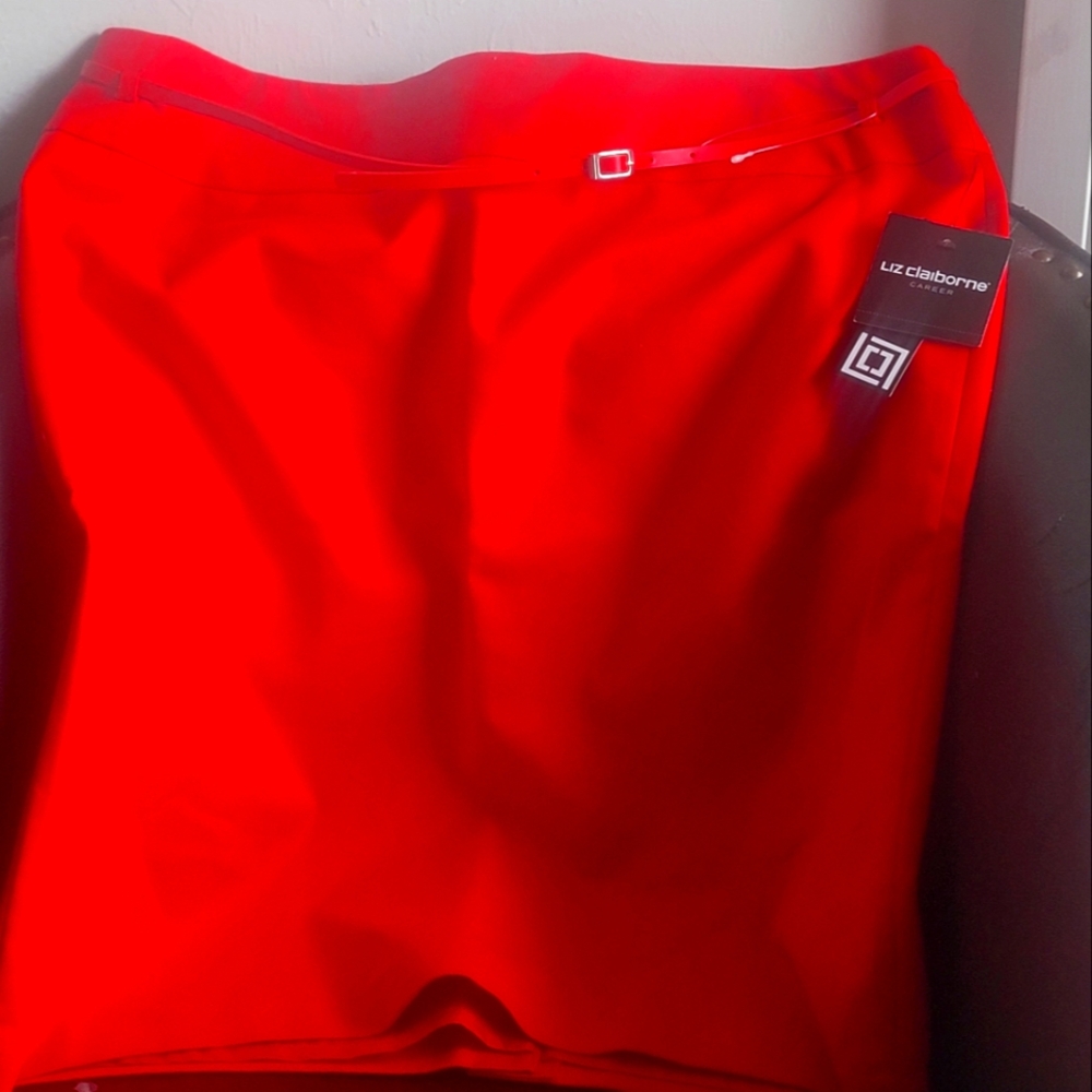 NWT SKIRT